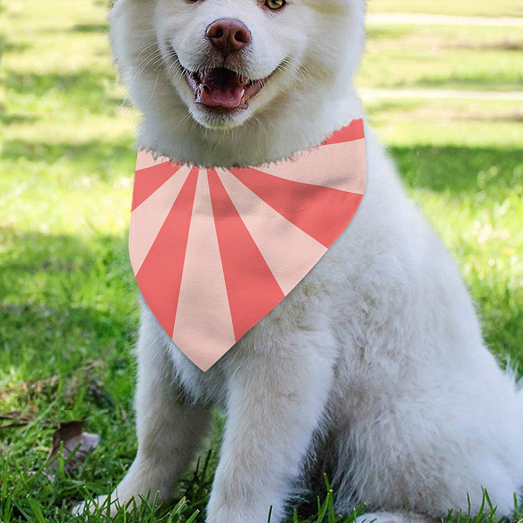 Pink Radial Rays Print Over The Collar Dog Bandana