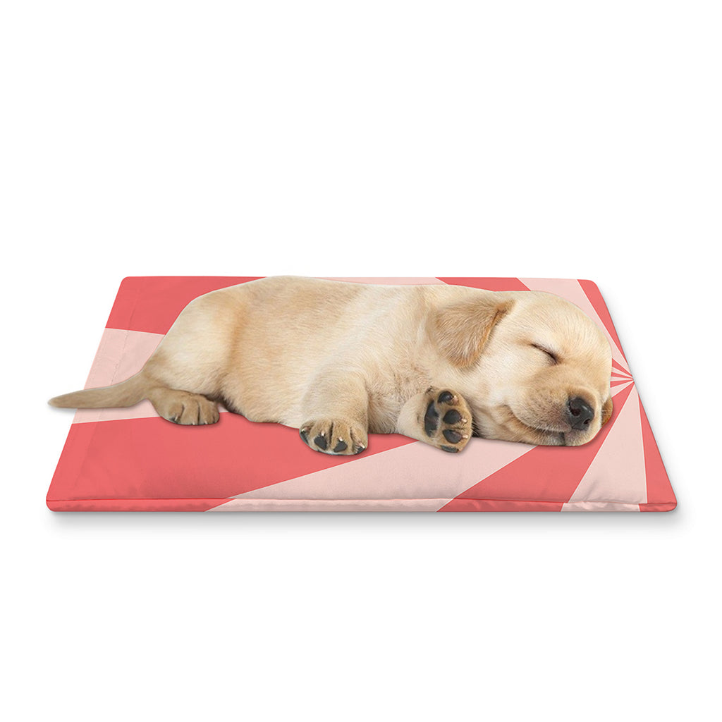 Pink Radial Rays Print Pet Cooling Mat Cover