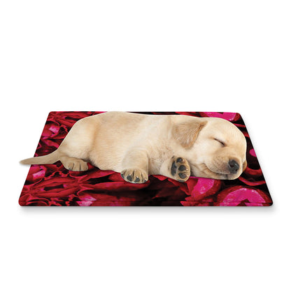 Pink Rose Kaleidoscope Print Pet Cooling Mat Cover