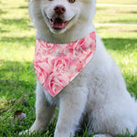Pink Rose Print Over The Collar Dog Bandana