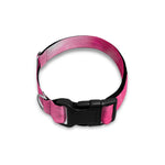 Pink Shibori Tie Dye Print Dog Collar