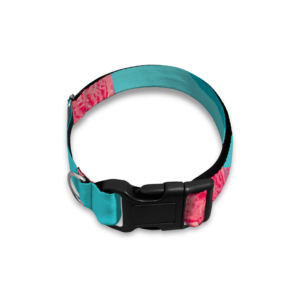 Pink Strawberry Ice Cream Print Dog Collar