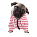 Pink Striped Pattern Print Dog Zip Up Hoodie