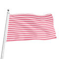 Pink Striped Pattern Print Flag