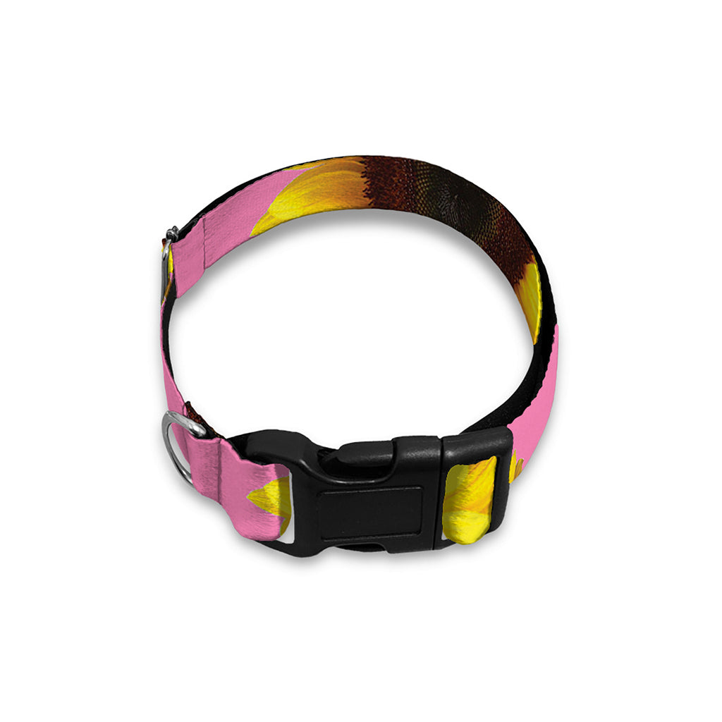 Pink Sunflower Pattern Print Dog Collar