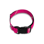 Pink Sweet Lollipop Pattern Print Dog Collar