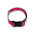Pink Swirl Candy Print Dog Collar