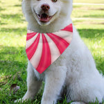 Pink Swirl Candy Print Over The Collar Dog Bandana