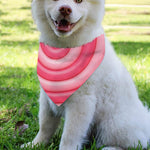 Pink Swirl Lollipop Print Over The Collar Dog Bandana