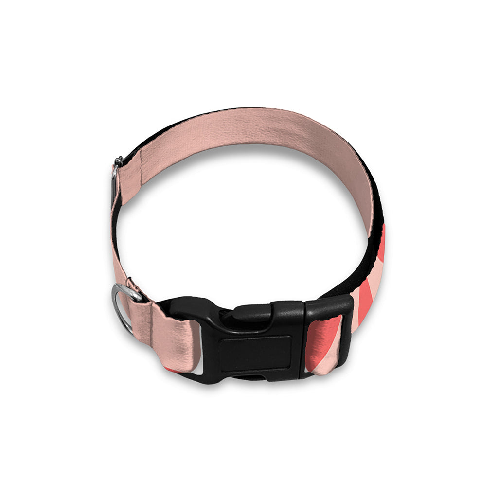 Pink Swirl Print Dog Collar