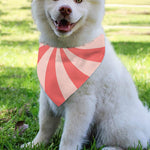 Pink Swirl Print Over The Collar Dog Bandana