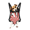 Pink Swirl Print Pet Carrier Backpack
