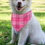 Pink Tartan Pattern Print Over The Collar Dog Bandana
