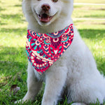 Pink Teal Bohemian Mandala Pattern Print Over The Collar Dog Bandana