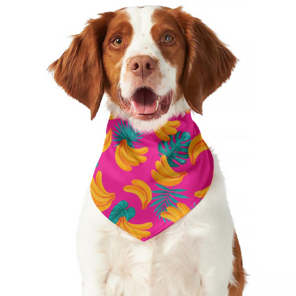 Pink Tropical Banana Pattern Print Dog Bandana