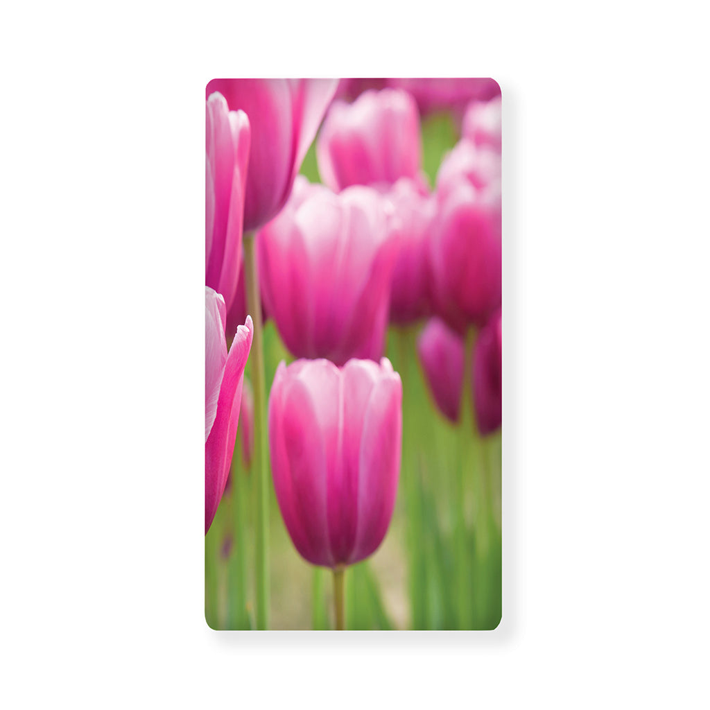 Pink Tulip Print Baby Crib Sheet
