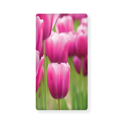 Pink Tulip Print Baby Crib Sheet