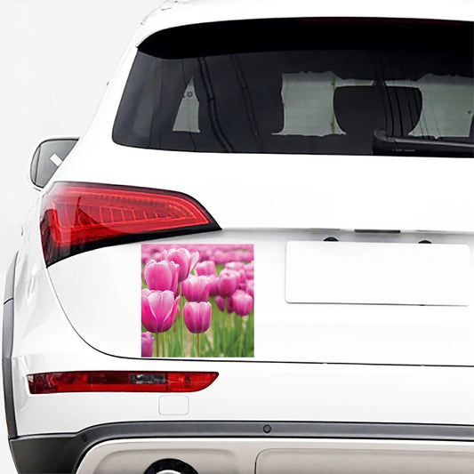 Pink Tulip Print Car Sticker