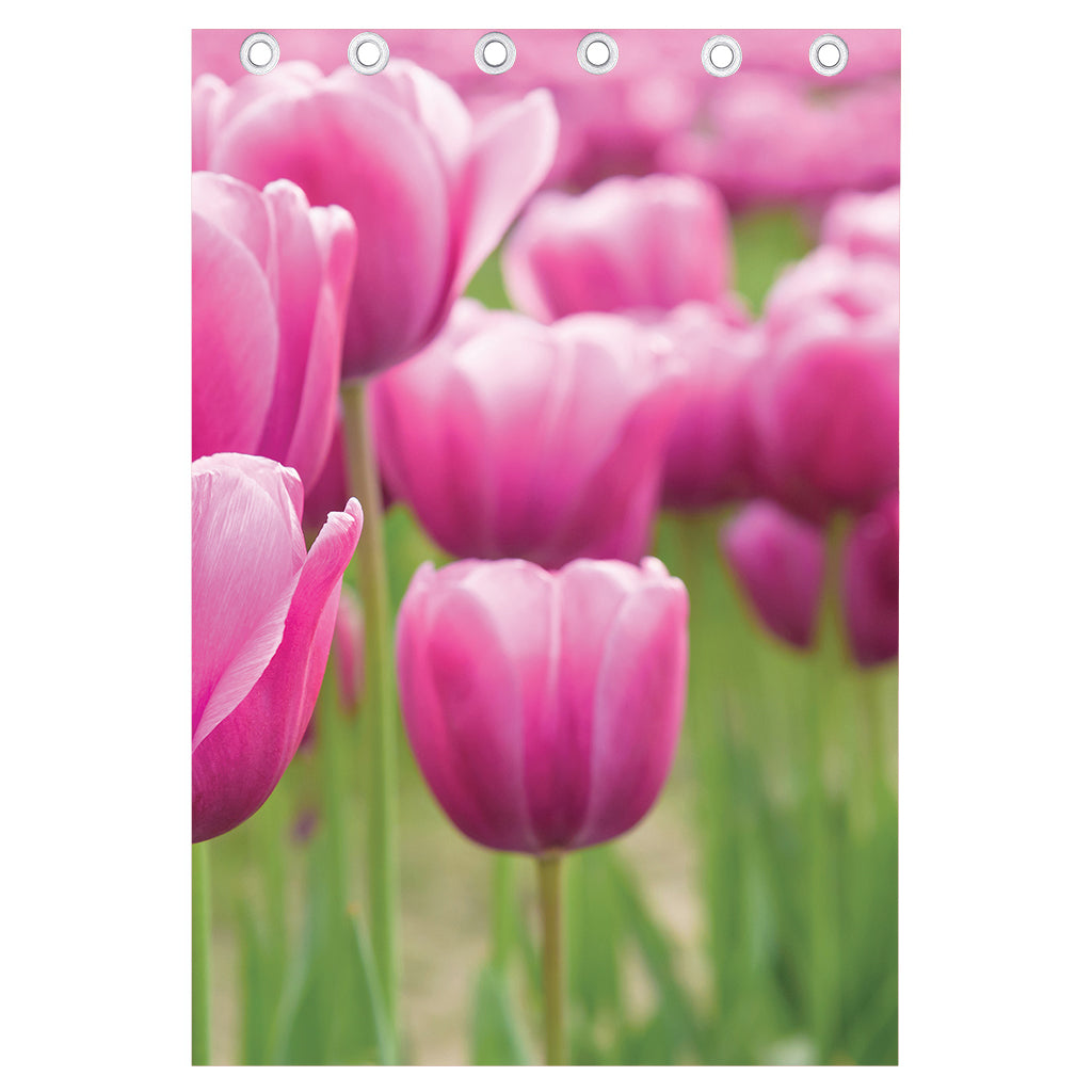Pink Tulip Print Curtain