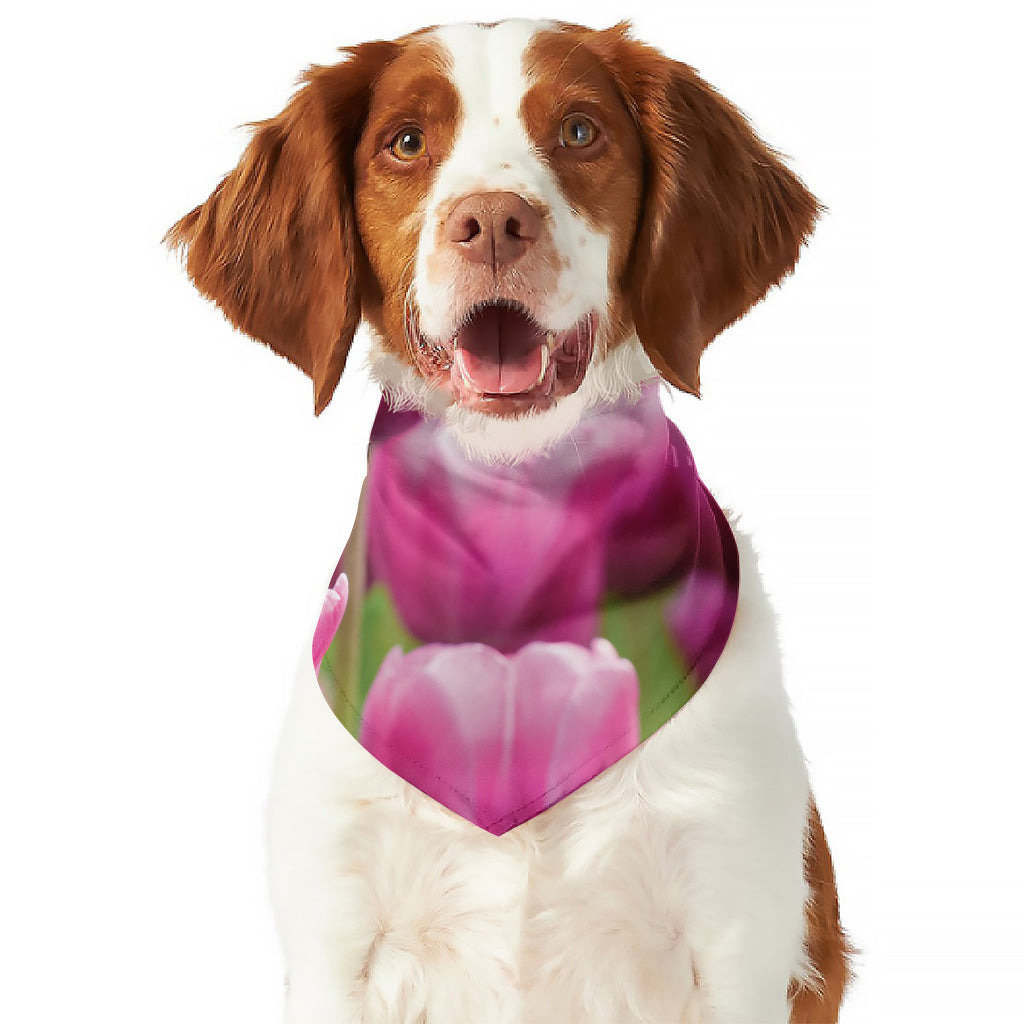Pink Tulip Print Dog Bandana