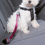Pink Tulip Print Dog Seat Belt