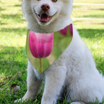 Pink Tulip Print Over The Collar Dog Bandana