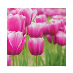 Pink Tulip Print Silk Bandana