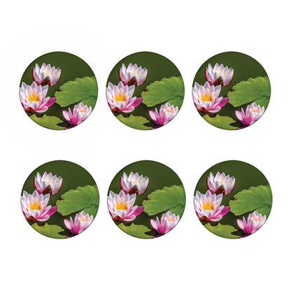 Pink Water Lilies Print Coaster Set