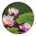 Pink Water Lilies Print Round Blanket