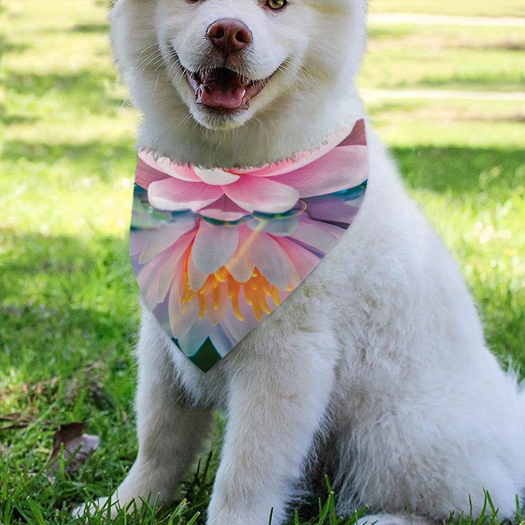 Pink Water Lily Print Over The Collar Dog Bandana