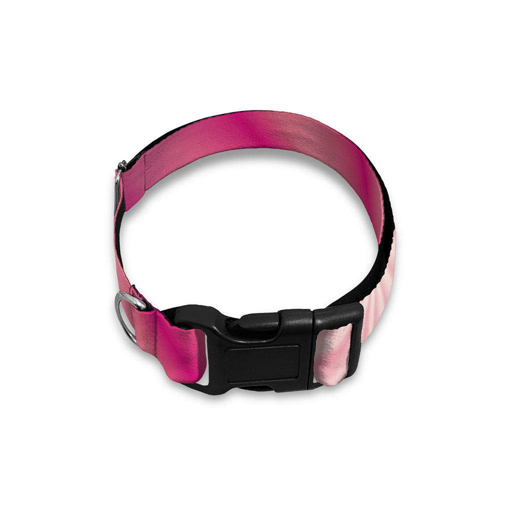 Pink Whirlpool Spiral Print Dog Collar