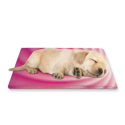 Pink Whirlpool Spiral Print Pet Cooling Mat Cover