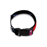 Pisces And Astrological Signs Print Dog Collar