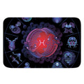 Pisces And Astrological Signs Print Indoor Door Mat