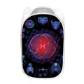 Pisces And Astrological Signs Print Mesh Laundry Hamper