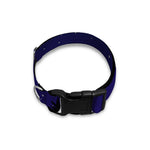 Pisces Constellation Print Dog Collar
