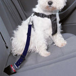 Pisces Constellation Print Dog Seat Belt