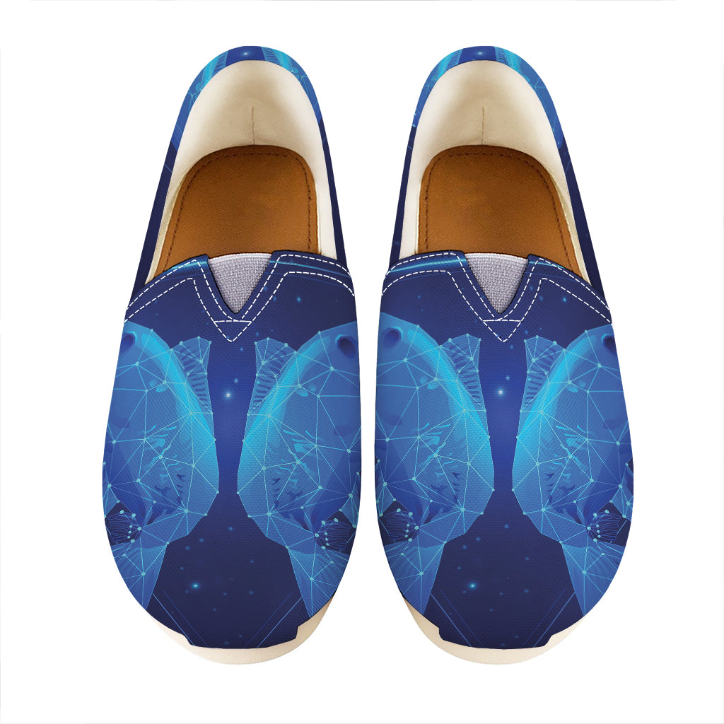 Pisces Horoscope Sign Print Casual Shoes
