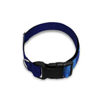 Pisces Horoscope Sign Print Dog Collar