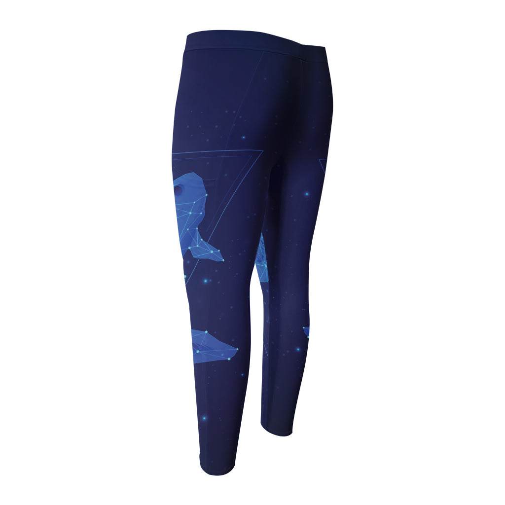 Pisces Horoscope Sign Print Men's Compression Pants