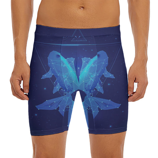 Pisces Horoscope Sign Print Men's Long Boxer Briefs