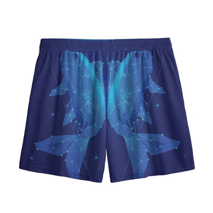 Pisces Horoscope Sign Print Mesh Shorts