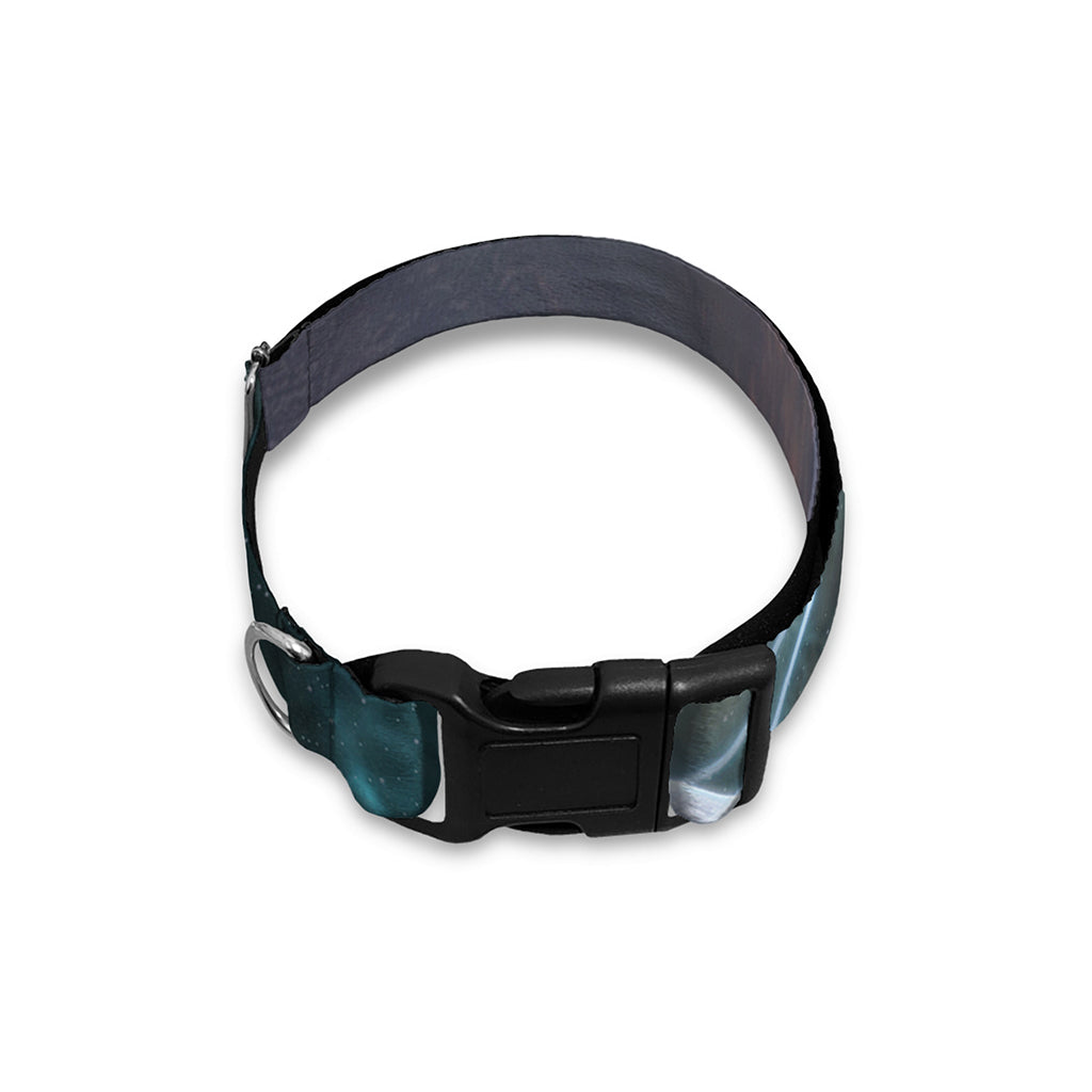 Planet And Space Print Dog Collar