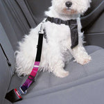 Plasma Ball Print Dog Seat Belt