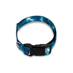 Plasma Energy Print Dog Collar