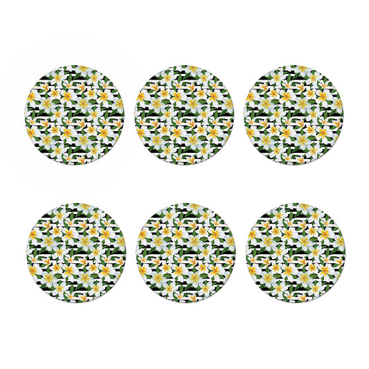 Plumeria Flower Striped Pattern Print Coaster Set