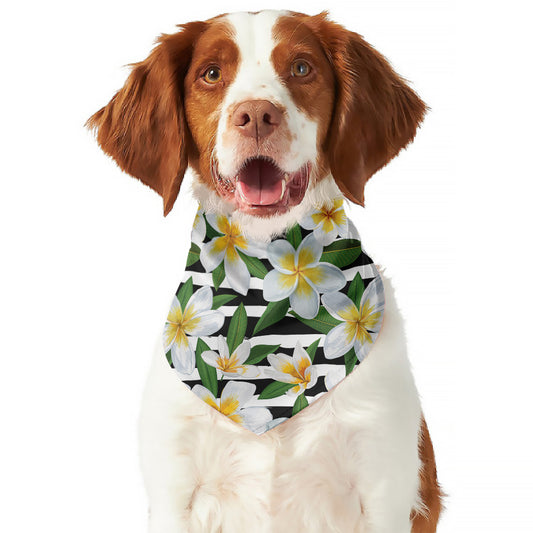 Plumeria Flower Striped Pattern Print Dog Bandana