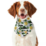 Plumeria Flower Striped Pattern Print Dog Bandana