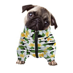 Plumeria Flower Striped Pattern Print Dog Zip Up Jacket