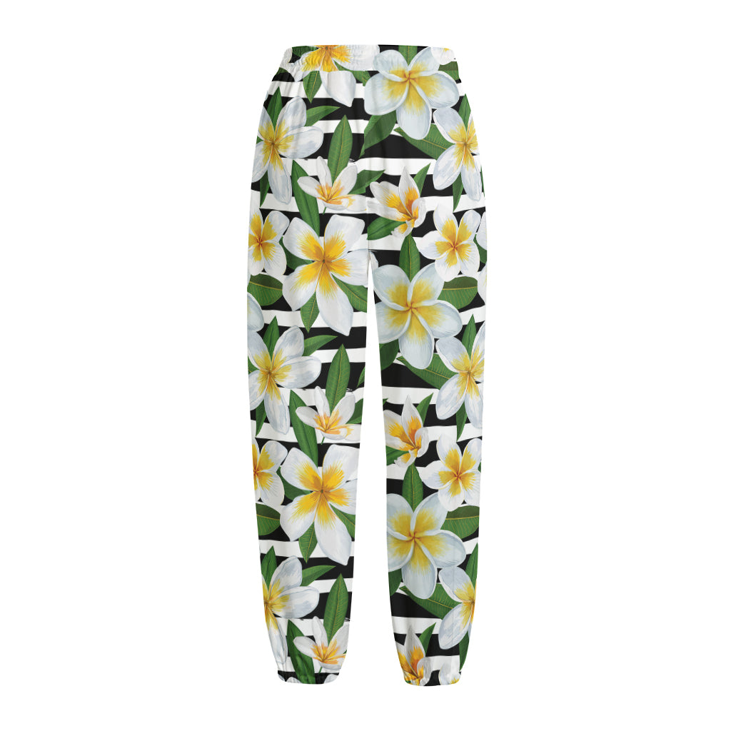 Plumeria Flower Striped Pattern Print Fleece Lined Knit Pants